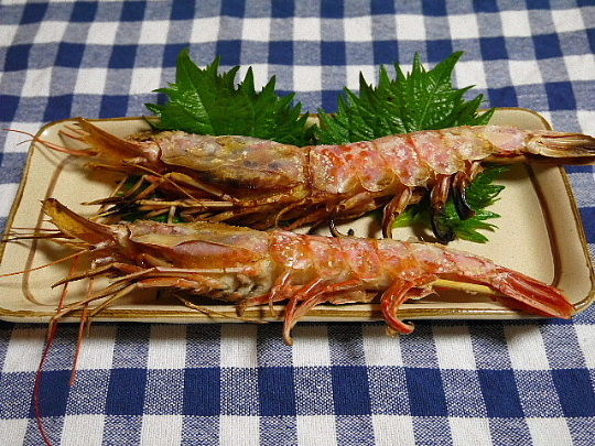 夕食 かつおのたたき 赤海老の塩焼き スナップえんどうの炒め物 The Last Sasurai 自炊ニストの食卓 夕食 かつおのたたき 赤海老の塩焼き スナップえんどうの炒め物 The Last Sasurai 自炊ニストの食卓