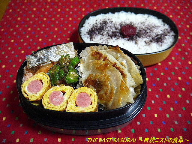 お弁当 焼き餃子弁当 The Last Sasurai 自炊ニストの食卓
