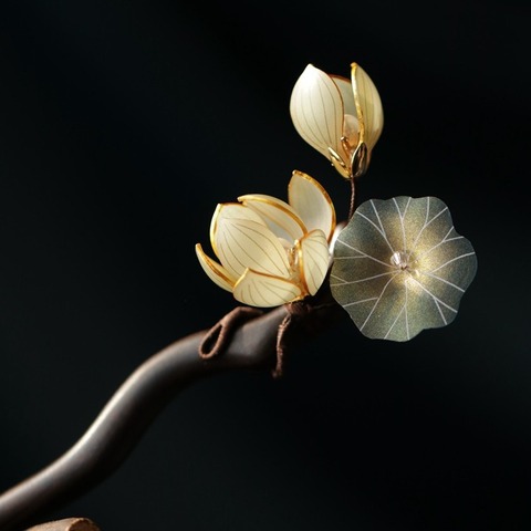 O1CN01Ra9xJT1FD46GaFuLe_!!6000000000452-0-cib