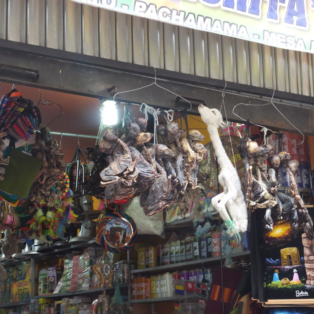 ボリビア三日目 サガルナガ通りを歩く とある女子大生の南米横断ダイアリー