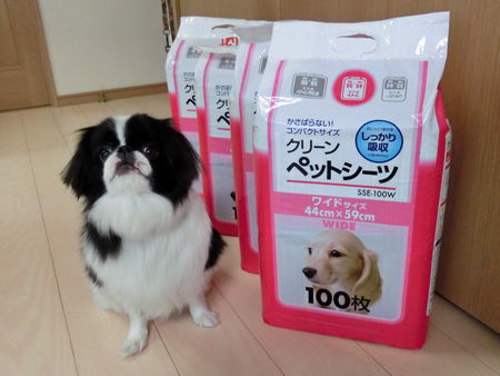 20130430waka-chan