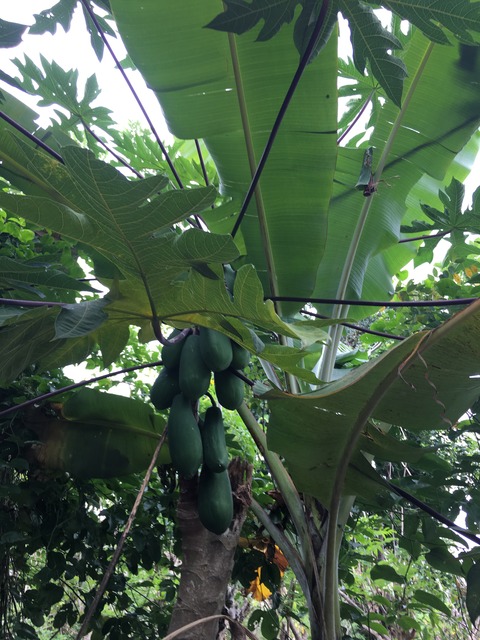 559991A6-A85A-4BA5-B1DF-B2FB2726E2A3