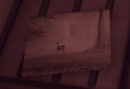What Remains Of Edith Finch フィンチ家の奇妙な屋敷でおきたこと 感想 考察 追記andまとめ 未来永劫初心者日記 What Remains Of Edith Finch フィンチ家の奇妙な屋敷でおきたこと 感想 考察 追記andまとめ 未来永劫初心者日記