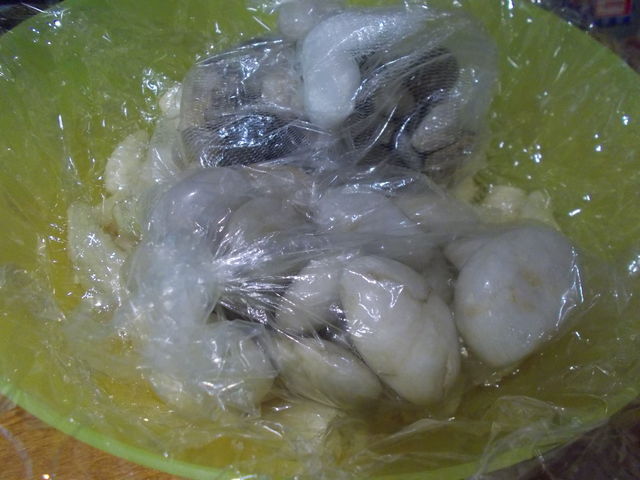 DSCN2574