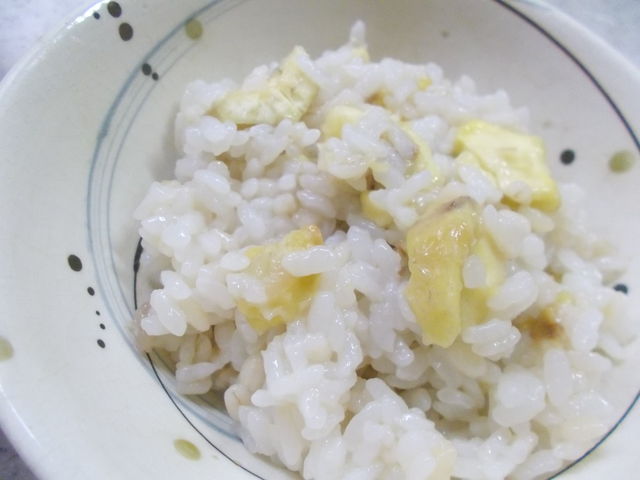 DSCN5048
