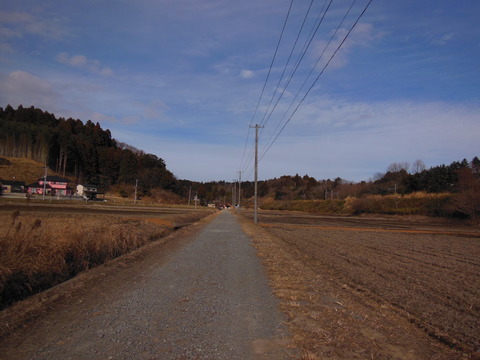 DSCN6959