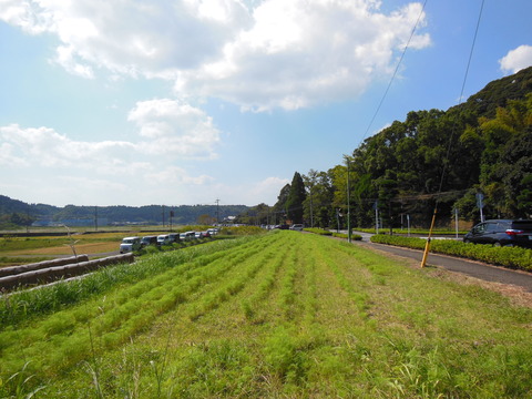 DSCN4443