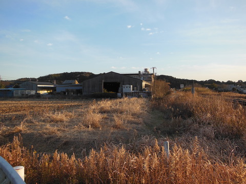 DSCN7724