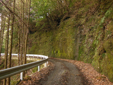 DSCN3989