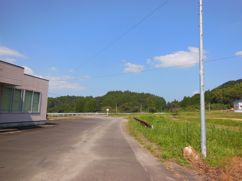 DSCN4782