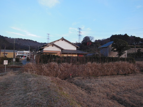 DSCN7787