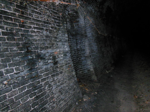 DSCN6985