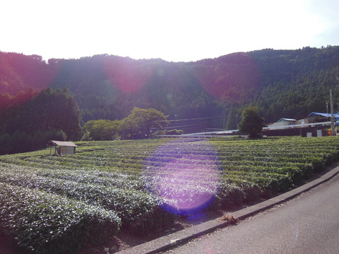 DSCN2004