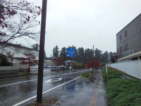 DSCN8316