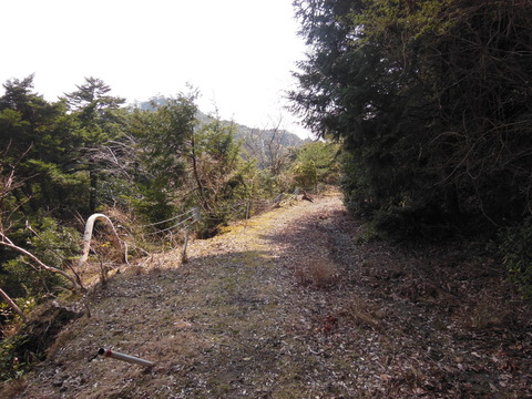 DSCN4243