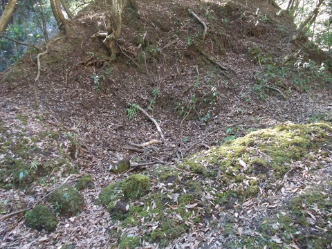 DSCF7846