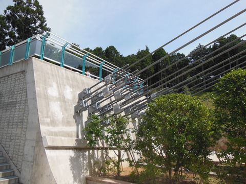 DSCN1905