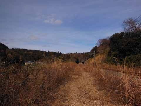 DSCN6966