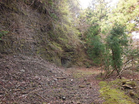 DSCN4197