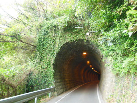 DSCN6811