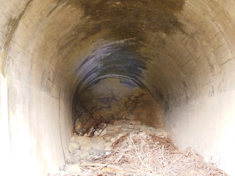 DSCN3814