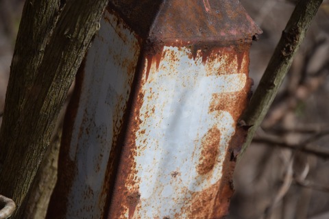 425