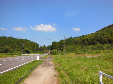 DSCN4783