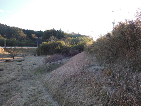 DSCN7667