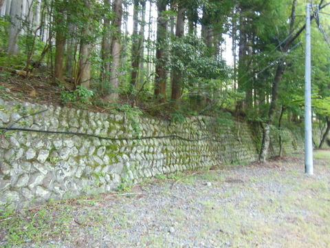 DSCN2040