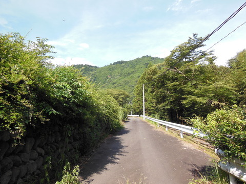 DSCN2054