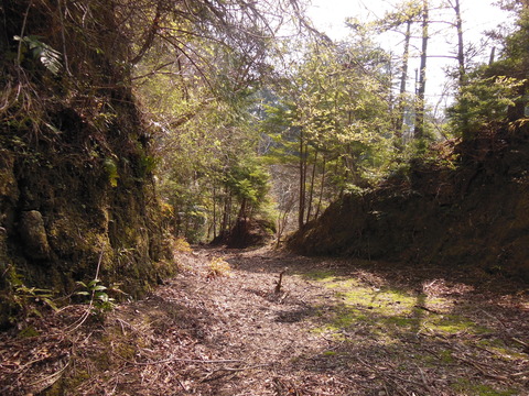 DSCN4191