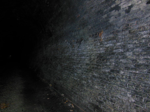 DSCN7006