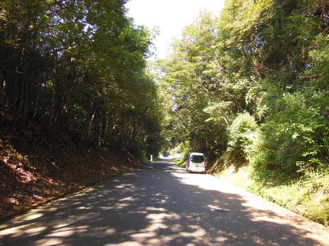 DSCN4791