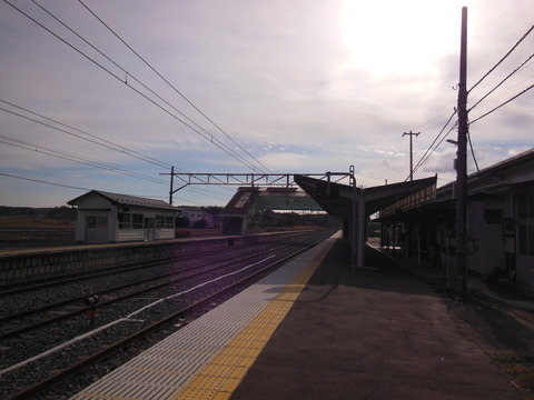 DSCN6913
