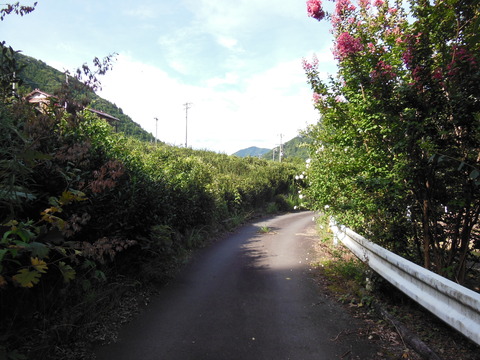 DSCN2051