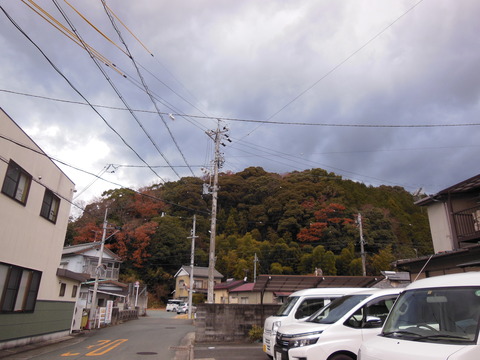 DSCN3779