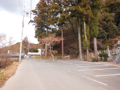 DSCN3841