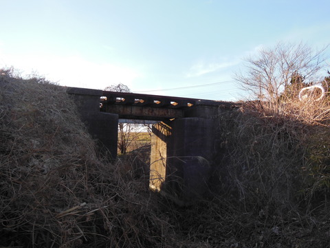DSCN7661