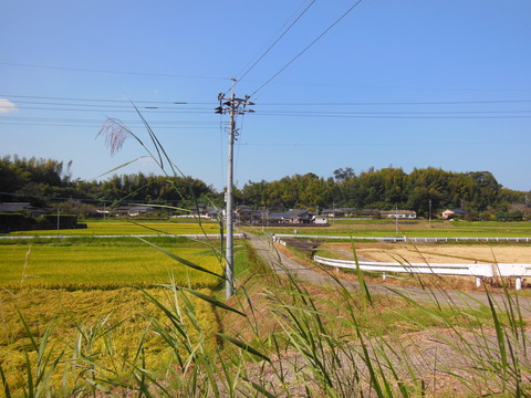 DSCN4827