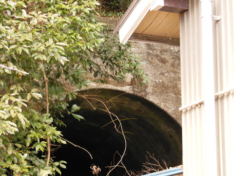 DSCN3785