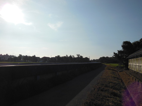 DSCN0093