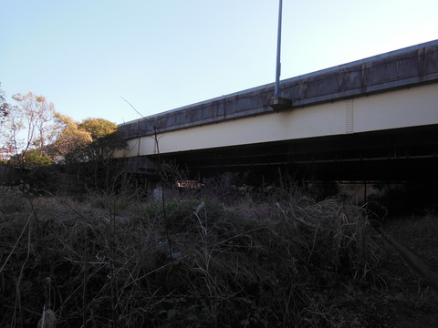 DSCN1266