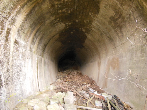 DSCN3800