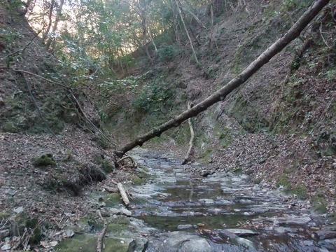 DSCF7836