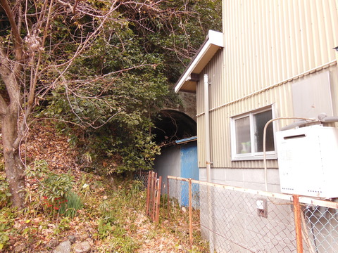DSCN3784