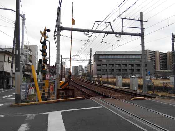 47e69052.jpg