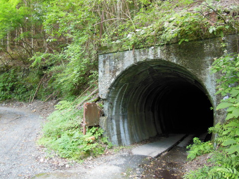 DSCN2146