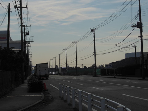 DSCN0485
