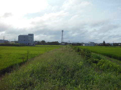 DSCN0103