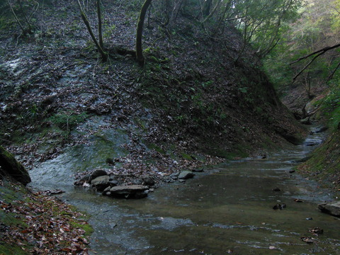 DSCN8675
